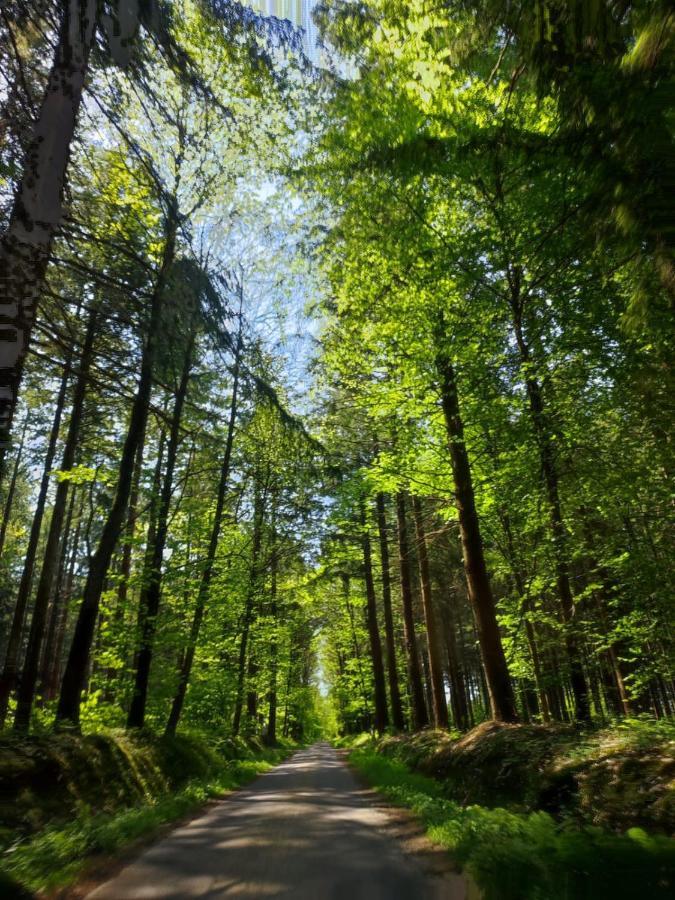Gite Les Tongs Des Pres, Au Coeur Du Parc Normandie Maine Livaie 외부 사진